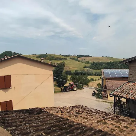 Gnazzano 1 * Loiano